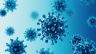 Járványszerűen terjed a koronavírus a tudományos életben - Orosz Ágnes írása a KRTK blogban